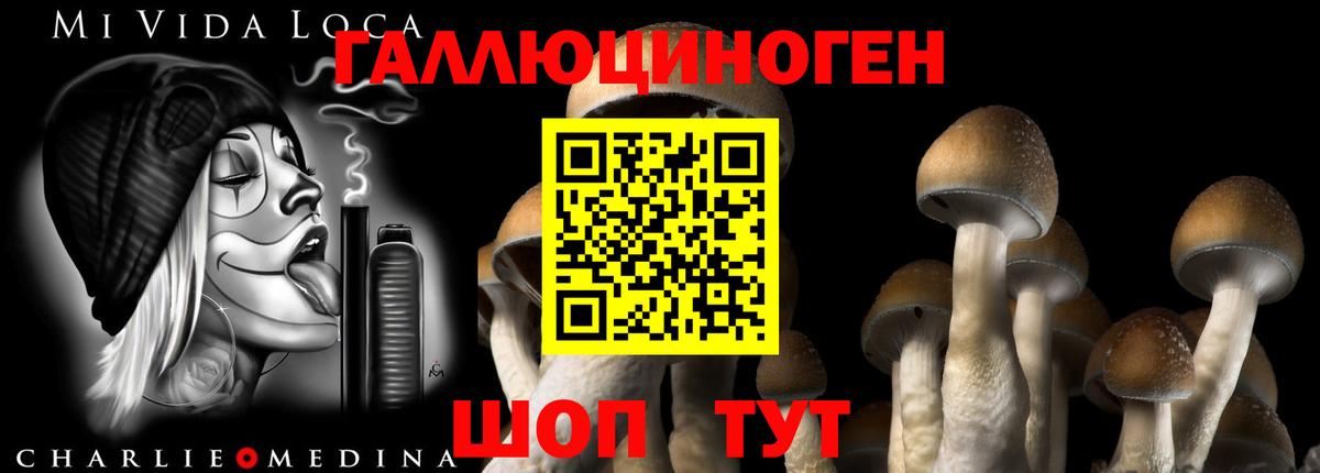 Галлюциногенные грибы Cubensis  Вход с VPN  наркотики  Майский 